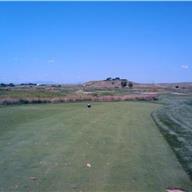 #4 Tee