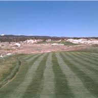 #17 Tee