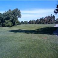 #5 Tee