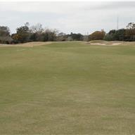 #12 Approach