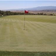 #12 Green