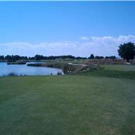 #7 Tee