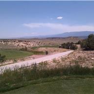 #16 Tee