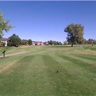 #9 Tee