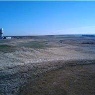 #15 Tee