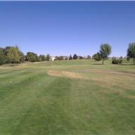 #11 Tee