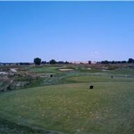 #12 Tee