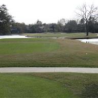 #17 Tee
