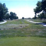 #14 Tee
