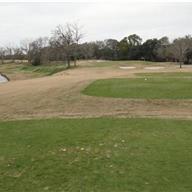 #11 Tee