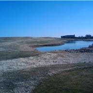#18 Tee