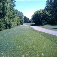 #10 Tee
