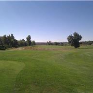 #7 Tee