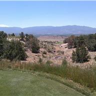 #13 Tee