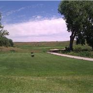 #16 Tee