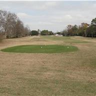 #9 Tee