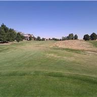 #14 Tee