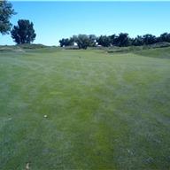 #16 Approach