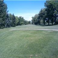 #9 Tee