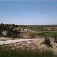 #5 Tee