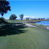 #17 Tee