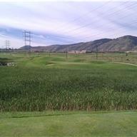 #5 Tee