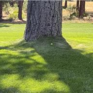 Martis Camp 18 Jul 2026