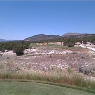 #14 Tee