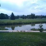 #17 Tee