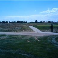 #13 Tee