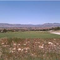 #12 Tee