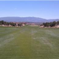 #13 Approach