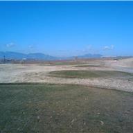 #11 Tee