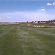 #18 Approach