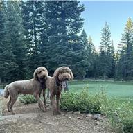 Martis Camp 25 Jul 2026