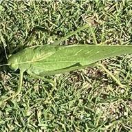 Walnut Creek Golf Preserve 20 Sep 2025