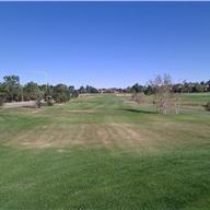 #6 Tee