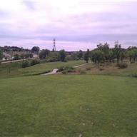 #4 Tee