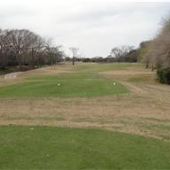 #13 Tee