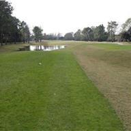 #4 Tee