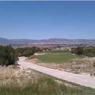 #8 Tee