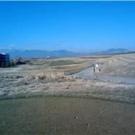 #10 Tee