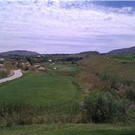 #15 Tee