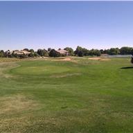#17 Tee