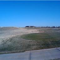 #5 Tee