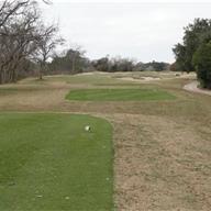 #12 Tee