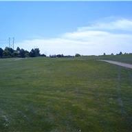 #11 Tee