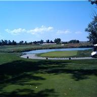 #18 Tee