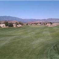 #8 Approach