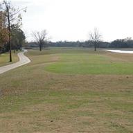 #5 Tee